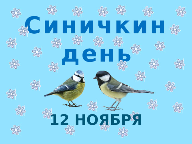 Синичкин день 12 ноября  