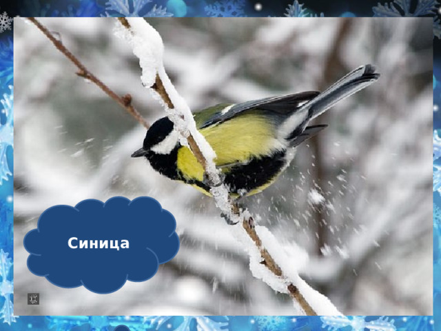  Спинкою зеленовата,  Животиком желтовата,  Черненькая шапочка  И полоска шарфика.    Синица  
