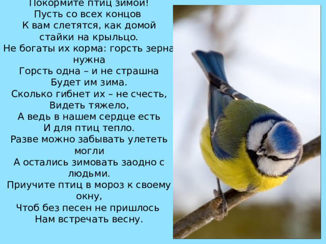 Покормите птиц зимой!  Пусть со всех концов   К вам слетятся, как домой стайки на крыльцо.  Не богаты их корма: горсть зерна нужна  Горсть одна – и не страшна  Будет им зима.  Сколько гибнет их – не счесть,  Видеть тяжело,  А ведь в нашем сердце есть  И для птиц тепло.  Разве можно забывать улететь могли  А остались зимовать заодно с людьми.  Приучите птиц в мороз к своему окну,  Чтоб без песен не пришлось   Нам встречать весну.  