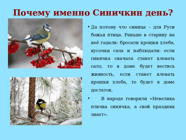 Почему именно Синичкин день?   Да потому что синица – для Руси божья птица. Раньше в старину на неё гадали: бросали крошки хлеба, кусочки сала и наблюдали: если синичка сначала станет клевать сало, то в доме будет вестись живность, если станет клевать крошки хлеба, то будет в доме достаток.  В народе говорили «Невелика птичка синичка, а свой праздник знает».   