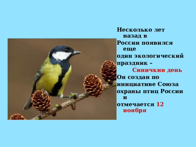 Несколько лет назад в России появился еще один экологический праздник –  Синичкин день  Он создан по инициативе Союза охраны птиц России и отмечается 12 ноября 