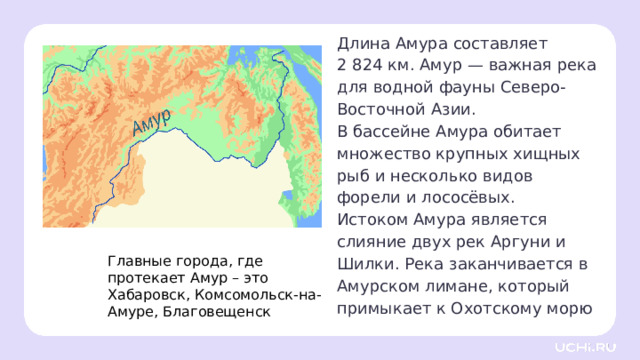 Длина Амура составляет 2 824 км. Амур — важная река для водной фауны Северо-Восточной Азии. В бассейне Амура обитает множество крупных хищных рыб и несколько видов форели и лососёвых. Истоком Амура является слияние двух рек Аргуни и Шилки. Река заканчивается в Амурском лимане, который примыкает к Охотскому морю  Главные города, где протекает Амур – это Хабаровск, Комсомольск-на-Амуре, Благовещенск Открытие новых знаний — Река Амур — река в Северо-Восточной Азии, образующая естественную границу между Дальним Востоком России и Северо-Восточным Китаем. — Длина Амура составляет 2 824 км, а с учётом его главного притока, реки Аргунь, — 4 444 км, что делает его 10-й по длине рекой в мире. Амур — важная река для водной фауны Северо-Восточной Азии. В бассейне Амура обитает множество крупных хищных рыб и несколько видов форели и лососёвых. 
