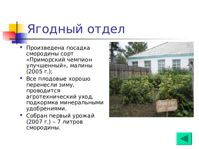ЗЕЛЕНЫЙ КЛАСС 