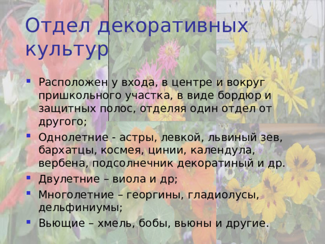 Ягодный отдел Произведена посадка смородины сорт «Приморский чемпион улучшенный», малины (2005 г.); Все плодовые хорошо перенесли зиму, проводится агротехнический уход, подкормка минеральными удобрениями. Собран первый урожай (2007 г.) – 7 литров смородины. 
