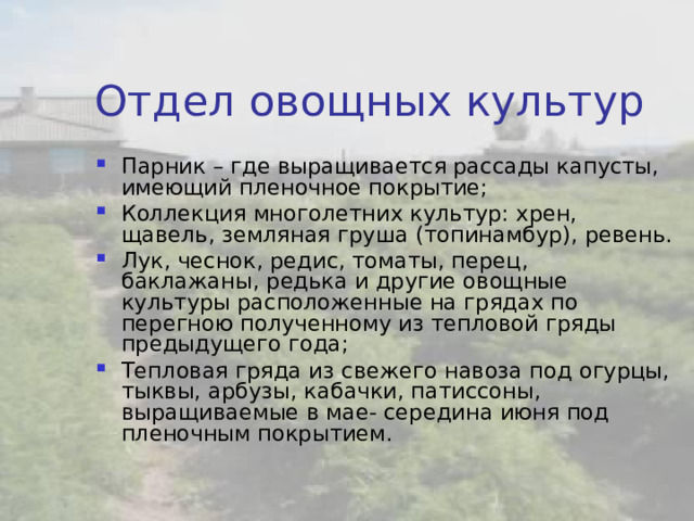Производственный отдел Выращивается картофель, капуста, морковь и свекла, для питания учащихся в школьную столовую, часть урожая будет реализована через торговые точки города Кяхта. 