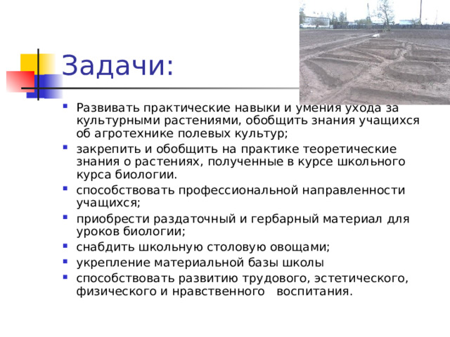 Задачи: Развивать практические навыки и умения ухода за культурными растениями, обобщить знания учащихся об агротехнике полевых культур; закрепить и обобщить на практике теоретические знания о растениях, полученные в курсе школьного курса биологии. способствовать профессиональной направленности учащихся; приобрести раздаточный и гербарный материал для уроков биологии; снабдить школьную столовую овощами; укрепление материальной базы школы способствовать развитию трудового, эстетического, физического и нравственного воспитания.  