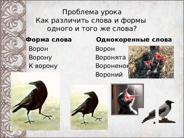Проблема урока  Как различить слова и формы  одного и того же слова? Форма слова Однокоренные слова Ворон Ворон Ворону Воронята Вороненок К ворону Вороний 