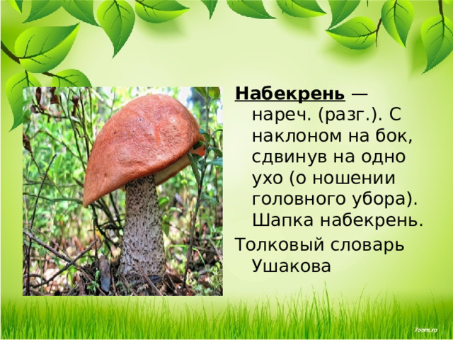 Набекрень — нареч. (разг.). С наклоном на бок, сдвинув на одно ухо (о ношении головного убора). Шапка набекрень. Толковый словарь Ушакова 