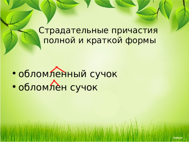 Страдательные причастия  полной и краткой формы обломленный сучок обломлен сучок 