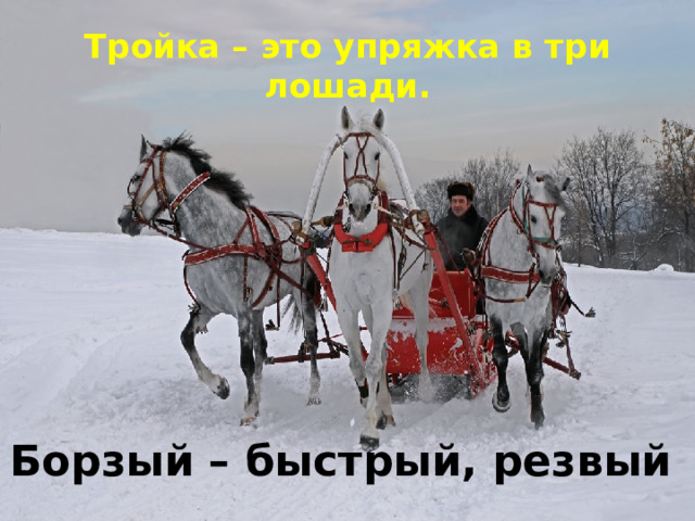 Тройка – это упряжка в три лошади. Борзый – быстрый, резвый 