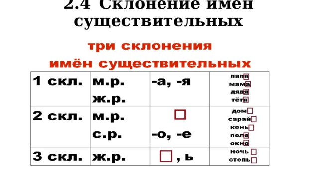 2.4  Склонение имен существительных   