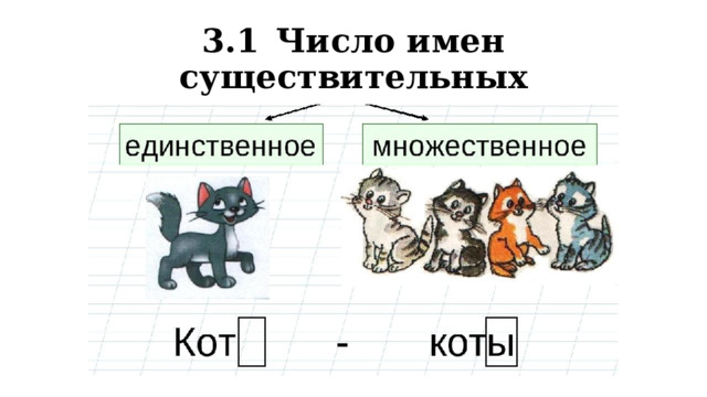 3.1  Число имен существительных 