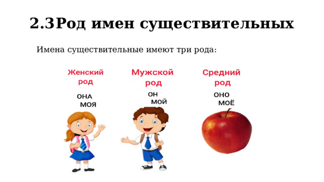 2.3  Род имен существительных Имена существительные имеют три рода: 
