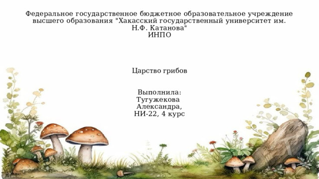 Федеральное государственное бюджетное образовательное учреждение высшего образования 