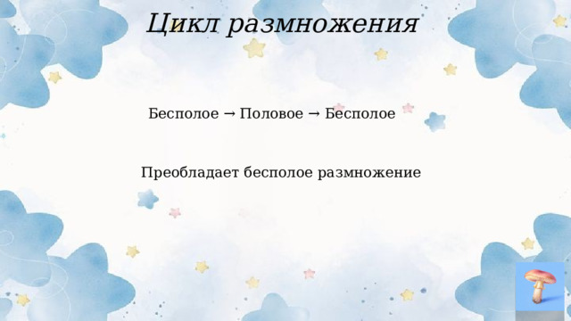 Цикл размножения Бесполое → Половое → Бесполое Преобладает бесполое размножение  
