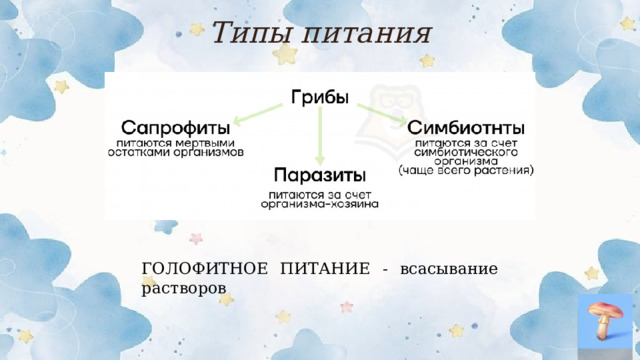 Типы питания ГОЛОФИТНОЕ ПИТАНИЕ - всасывание растворов  