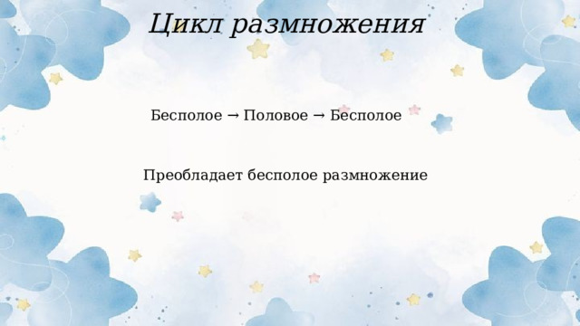 Цикл размножения Бесполое → Половое → Бесполое Преобладает бесполое размножение  