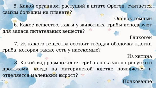  5. Какой организм, растущий в штате Орегон, считается самым большим на планете? Опёнок тёмный  6. Какое вещество, как и у животных, грибы используют для запаса питательных веществ? Гликоген  7. Из какого вещества состоит твёрдая оболочка клетки гриба, которая также есть у насекомых? Из хитина  8. Какой вид размножения грибов показан на рисунке с дрожжами, когда на материнской клетке появляется и отделяется маленький вырост? Почкование  