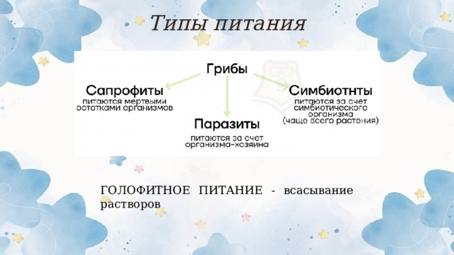 Типы питания ГОЛОФИТНОЕ ПИТАНИЕ - всасывание растворов  