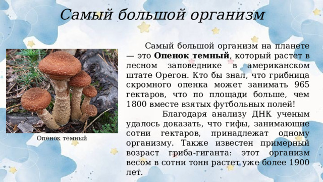 Самый большой организм  Самый большой организм на планете — это Опенок темный , который растет в лесном заповеднике в американском штате Орегон. Кто бы знал, что грибница скромного опенка может занимать 965 гектаров, что по площади больше, чем 1800 вместе взятых футбольных полей!  Благодаря анализу ДНК ученым удалось доказать, что гифы, занимающие сотни гектаров, принадлежат одному организму. Также известен примерный возраст гриба-гиганта: этот организм весом в сотни тонн растет уже более 1900 лет. Опенок темный  