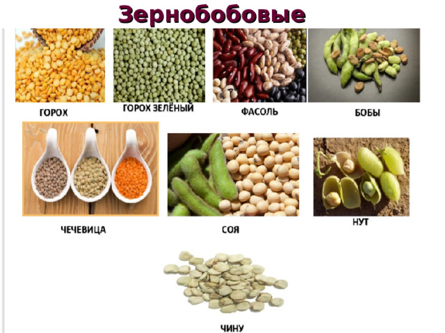 Зернобобовые 