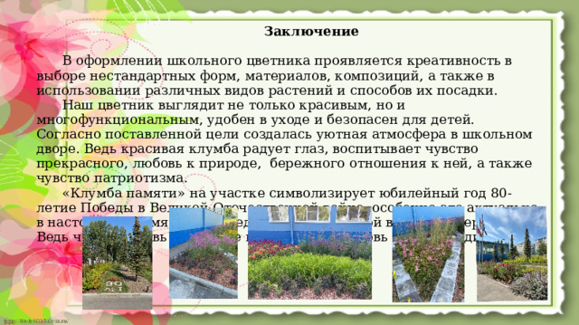  Заключение   В оформлении школьного цветника проявляется креативность в выборе нестандартных форм, материалов, композиций, а также в использовании различных видов растений и способов их посадки.   Наш цветник выглядит не только красивым, но и многофункциональным, удобен в уходе и безопасен для детей. Согласно поставленной цели создалась уютная атмосфера в школьном дворе. Ведь красивая клумба радует глаз, воспитывает чувство прекрасного, любовь к природе, бережного отношения к ней, а также чувство патриотизма.   «Клумба памяти» на участке символизирует юбилейный год 80-летие Победы в Великой Отечественной войне, особенно это актуально в настоящее время при проведении Специальной военной операции. Ведь через любовь к природе проявляется любовь к своей Родине.  