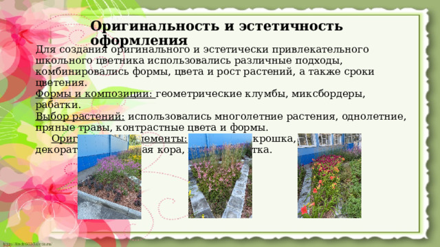 Оригинальность и эстетичность оформления   Для создания оригинального и эстетически привлекательного школьного цветника использовались различные подходы, комбинировались формы, цвета и рост растений, а также сроки цветения. Формы и композиции: геометрические клумбы, миксбордеры, рабатки. Выбор растений: использовались многолетние растения, однолетние, пряные травы, контрастные цвета и формы.  Оригинальные элементы: мраморная крошка, галька, декоративная цветная кора, вазоны, плитка.  