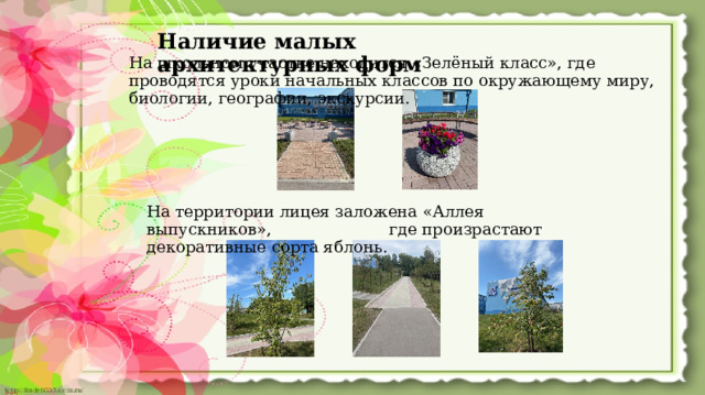 Наличие малых архитектурных форм На школьном участке находится «Зелёный класс», где проводятся уроки начальных классов по окружающему миру, биологии, географии, экскурсии. На территории лицея заложена «Аллея выпускников», где произрастают декоративные сорта яблонь.  