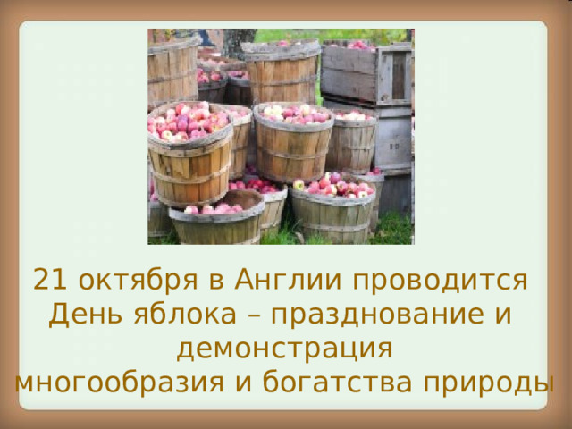 21 октября в Англии проводится День яблока – празднование и демонстрация многообразия и богатства природы 