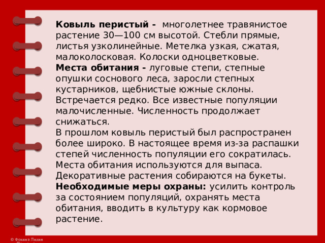 Ковыль перистый -  многолетнее травянистое растение 30—100 см высотой. Стебли прямые, листья узколинейные. Метелка узкая, сжатая, малоколосковая. Колоски одноцветковые. Места обитания -  луговые степи, степные опушки соснового леса, заросли степных кустарников, щебнистые южные склоны. Встречается редко. Все известные популяции малочисленные. Численность продолжает снижаться. В прошлом ковыль перистый был распространен более широко. В настоящее время из-за распашки степей численность популяции его сократилась. Места обитания используются для выпаса. Декоративные растения собираются на букеты. Необходимые меры охраны: усилить контроль за состоянием популяций, охранять места обитания, вводить в культуру как кормовое растение. 