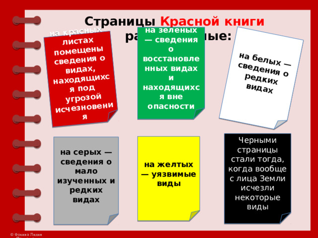 на красных листах помещены сведения о видах, находящихся под угрозой исчезновения на белых — сведения о редких видах  Страницы Красной  книги разноцветные: на зеленых — сведения о восстановленных видах и находящихся вне опасности Черными страницы стали тогда, когда вообще с лица Земли исчезли некоторые виды на желтых — уязвимые виды на серых — сведения о мало изученных и редких видах 
