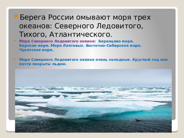 Берега России омывают моря трех океанов: Северного Ледовитого, Тихого, Атлантического. Моря Северного Ледовитого океана:   Баренцево море. Карское море. Море Лаптевых. Восточно-Сибирское море. Чукотское море.  Моря Северного Ледовитого океана очень холодные. Круглый год они почти покрыты льдом. 