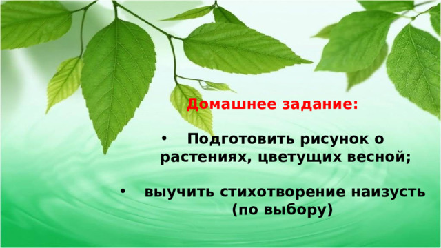 Домашнее задание:  Подготовить рисунок о растениях, цветущих весной;   выучить стихотворение наизусть (по выбору) 