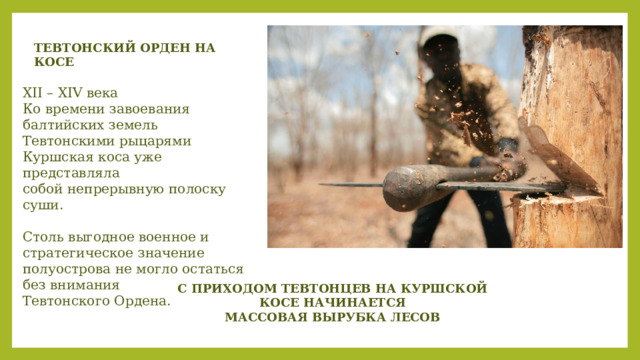 ТЕВТОНСКИЙ ОРДЕН НА КОСЕ XII – XIV века Ко времени завоевания балтийских земель Тевтонскими рыцарями Куршская коса уже представляла cобой непрерывную полоску суши. Столь выгодное военное и стратегическое значение полуострова не могло остаться без внимания Тевтонского Ордена. С ПРИХОДОМ ТЕВТОНЦЕВ НА КУРШСКОЙ КОСЕ НАЧИНАЕТСЯ МАССОВАЯ ВЫРУБКА ЛЕСОВ 