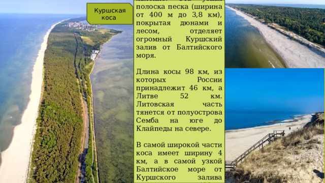 Уникальное природное явление. Эта узкая полоска песка (ширина от 400 м до 3,8 км), покрытая дюнами и лесом, отделяет огромный Куршский залив от Балтийского моря. Длина косы 98 км, из которых России принадлежит 46 км, а Литве 52 км. Литовская часть тянется от полуострова Семба на юге до Клайпеды на севере. В самой широкой части коса имеет ширину 4 км, а в самой узкой Балтийское море от Куршского залива отделяет всего 400 м песка. Куршская коса 