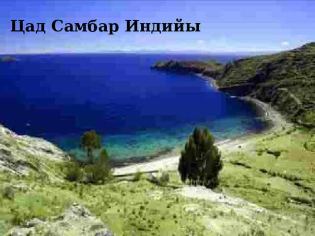 Цад Самбар Индийы 