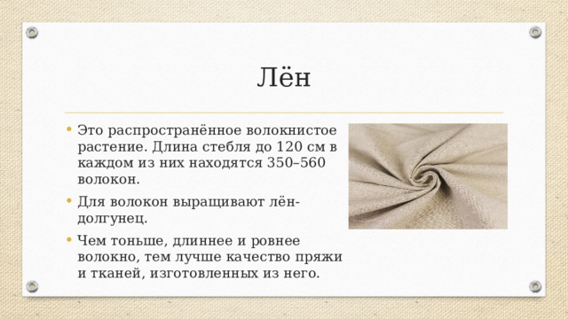 Лён Это распространённое волокнистое растение. Длина стебля до 120 см в каждом из них находятся 350–560 волокон. Для волокон выращивают лён-долгунец. Чем тоньше, длиннее и ровнее волокно, тем лучше качество пряжи и тканей, изготовленных из него. Лён называют русским шёлком. Это уникальное волокнистое растение с длинными, красивыми и прочными и прочными волокнами. Разновидностей льна очень много. Есть лён, который выращивают только ради красоты – его называют декоративным. Ради масла сеют лён-кудряш. А ради волокон выращивают лён-долгунец. Именно лён-долгунец является основным поставщиком льняного волокна.  