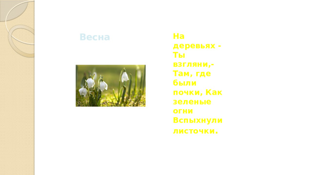 На деревьях - Ты взгляни,- Там, где были почки, Как зеленые огни Вспыхнули листочки . Весна 