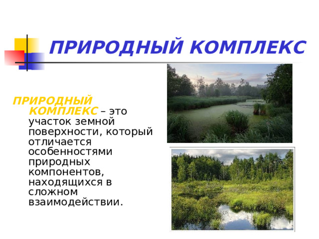 ПРИРОДНЫЙ КОМПЛЕКС ПРИРОДНЫЙ КОМПЛЕКС – это участок земной поверхности, который отличается особенностями природных компонентов, находящихся в сложном взаимодействии. 