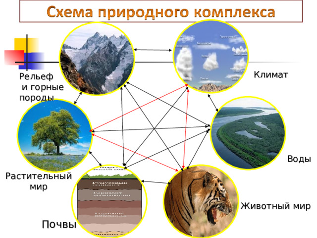 Климат Рельеф  и горные породы Воды Растительный мир Животный мир Почвы 