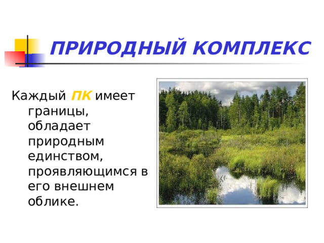 ПРИРОДНЫЙ КОМПЛЕКС Каждый ПК имеет границы, обладает природным единством, проявляющимся в его внешнем облике. 