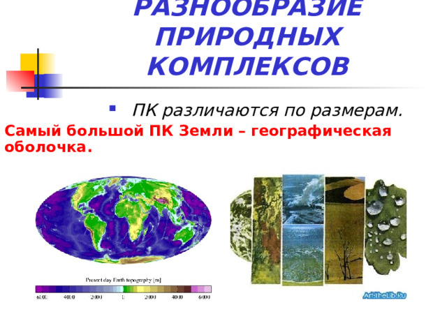 РАЗНООБРАЗИЕ ПРИРОДНЫХ КОМПЛЕКСОВ ПК различаются по размерам. Самый большой ПК Земли – географическая оболочка.  