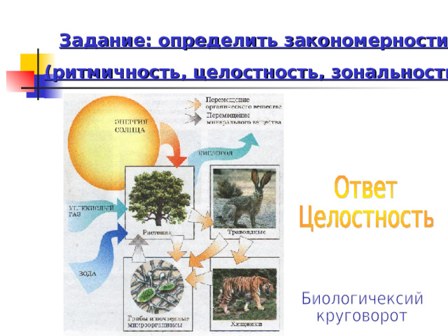 Задание: определить закономерности (ритмичность, целостность, зональность) 