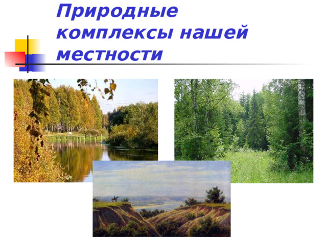 Природные комплексы нашей местности 