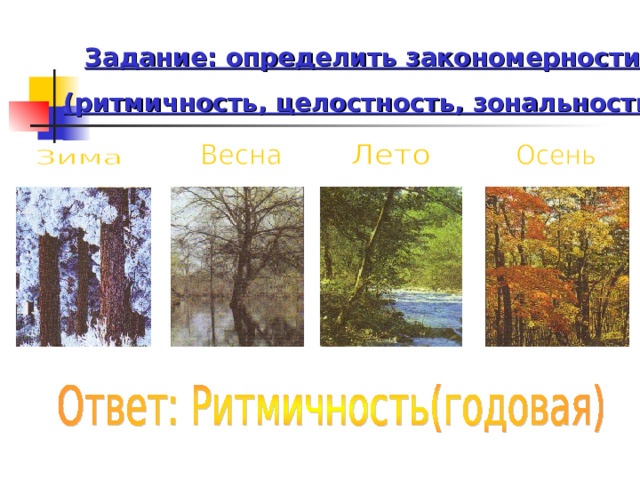 Задание: определить закономерности (ритмичность, целостность, зональность) 