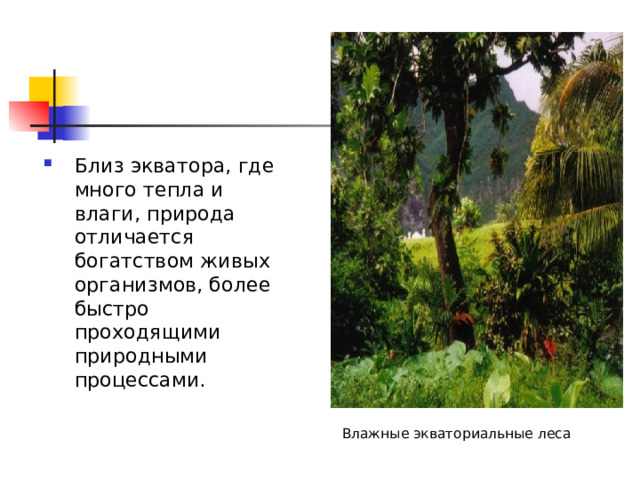 Близ экватора, где много тепла и влаги, природа отличается богатством живых организмов, более быстро проходящими природными процессами.  Влажные экваториальные леса 