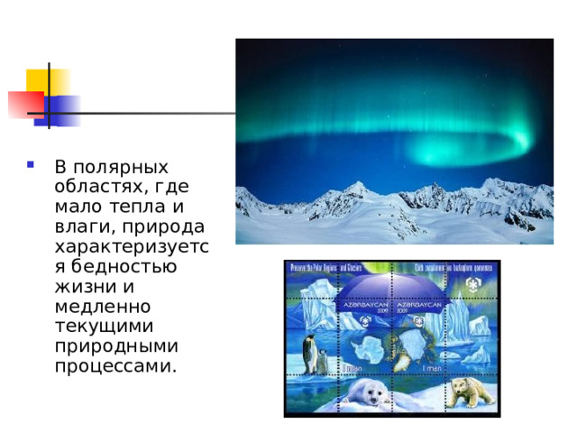 В полярных областях, где мало тепла и влаги, природа характеризуется бедностью жизни и медленно текущими природными процессами. 