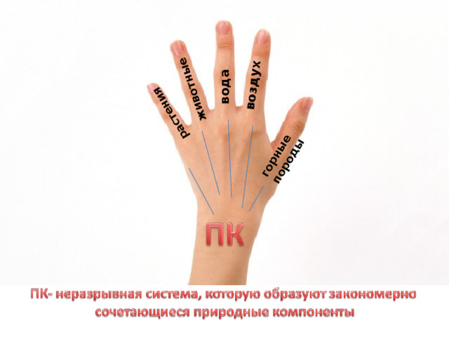 горные породы воздух вода животные  растения 
