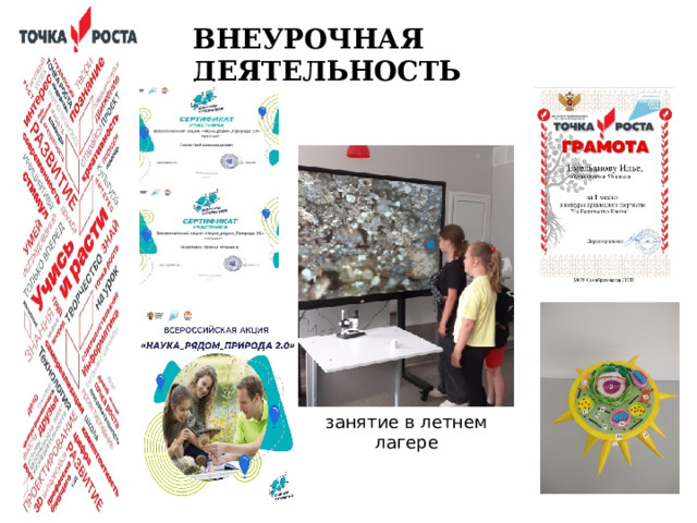 ПРОЕКТНАЯ ДЕЯТЕЛЬНОСТЬ  Новизна проектной деятельности  заключается в повышении сформированности критического мышления у обучающихся через персонализацию образовательной  деятельности и выбора индивидуальной траектории.  