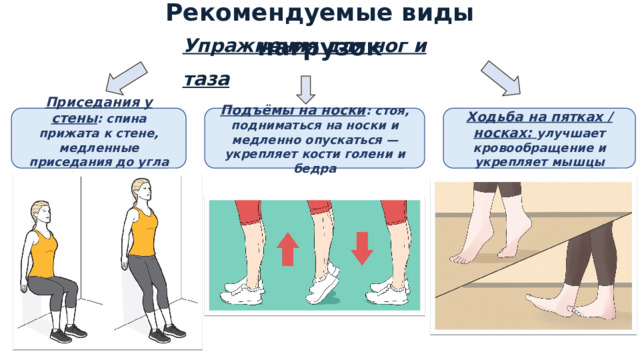 Рекомендуемые виды нагрузок Упражнения для ног и таза Приседания у стены : спина прижата к стене, медленные приседания до угла 90° в коленях Подъёмы на носки : стоя, подниматься на носки и медленно опускаться — укрепляет кости голени и бедра Ходьба на пятках / носках: улучшает кровообращение и укрепляет мышцы 1 